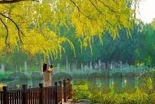 5oo足球比分直播比分-揭秘500足球比分直播，一场数据与激情的完美碰撞