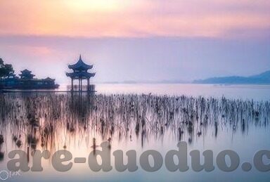 比分188足球比分直播-揭秘比分188，足球比分直播背后的数据狂欢与球迷狂欢